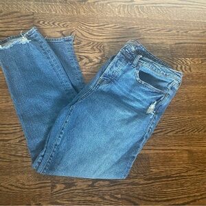 Torrid high raise straight jeans sz 14